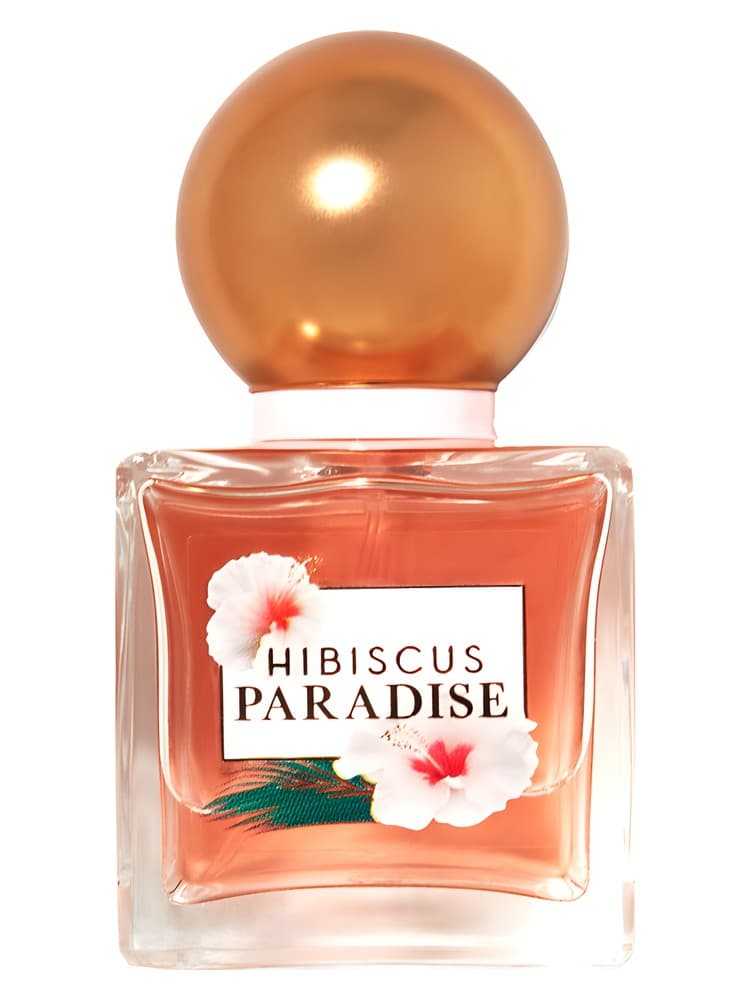 Hibiscus Paradise