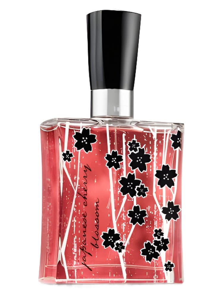 Japanese Cherry Blossom