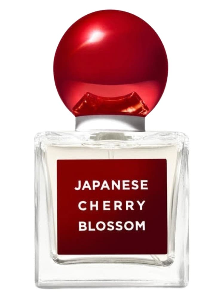 Japanese Cherry Blossom 2020 Edition