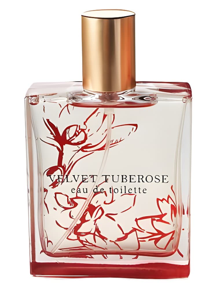 Velvet Tuberose