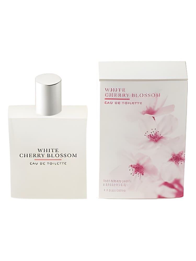 White Cherry Blossom