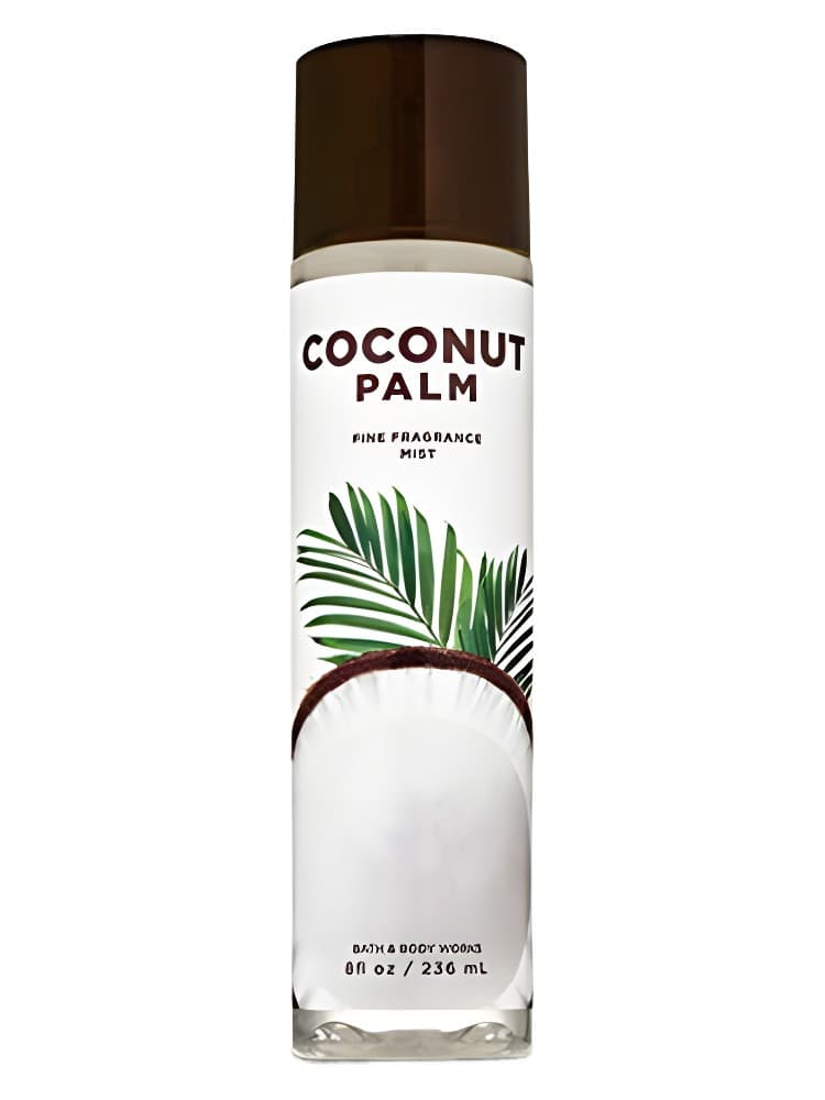 Coconut Palm
