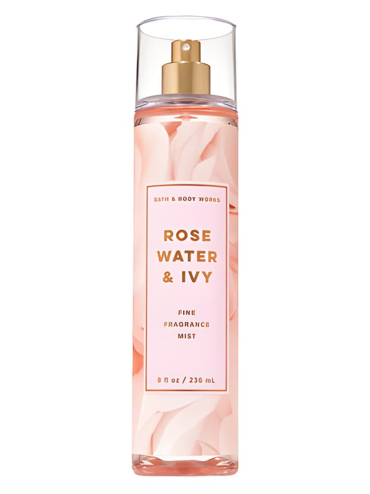 Rose Water Ivy