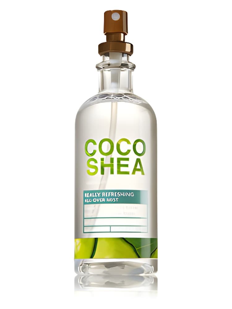 Cocoshea Cucumber