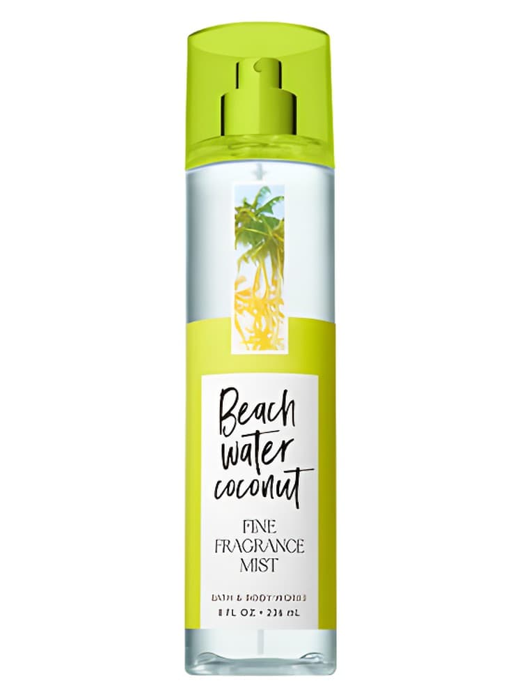 Beach Water Coconut
