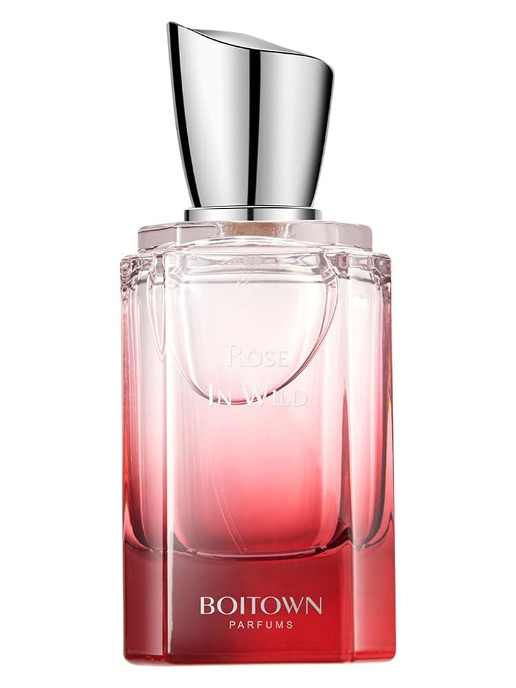 Rose In Wild huang ye mei gui