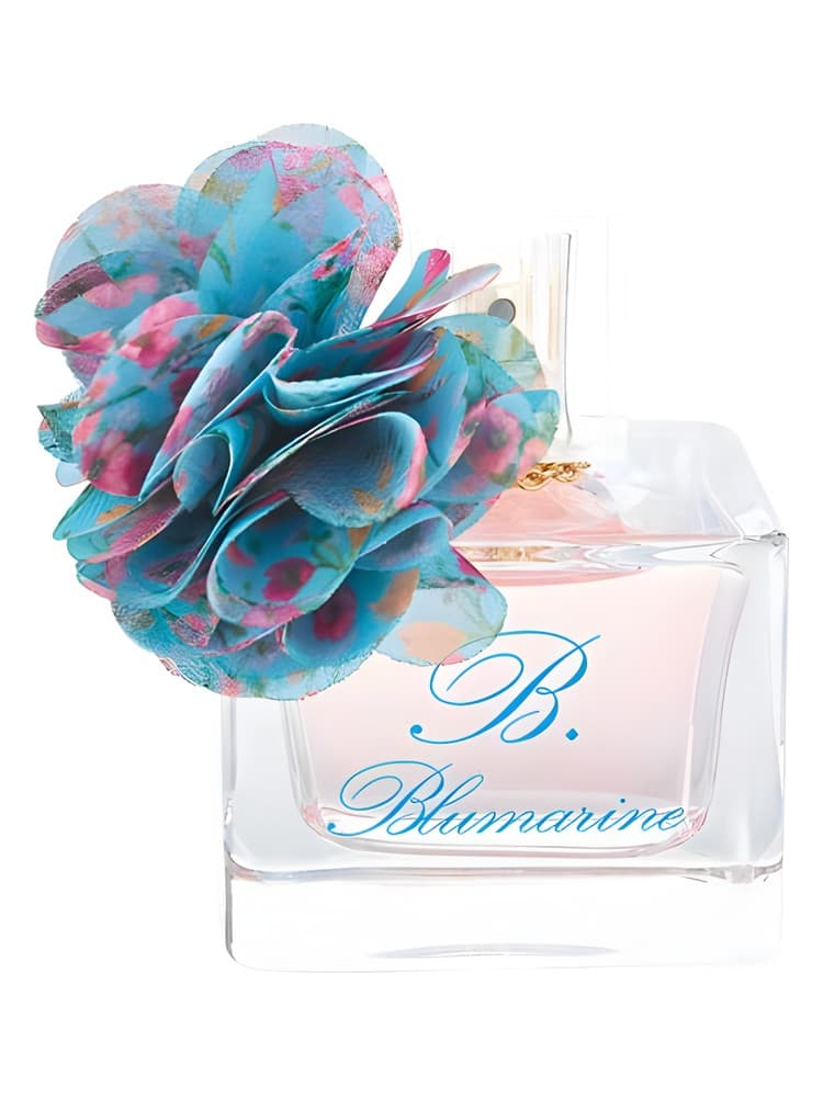 B Blumarine