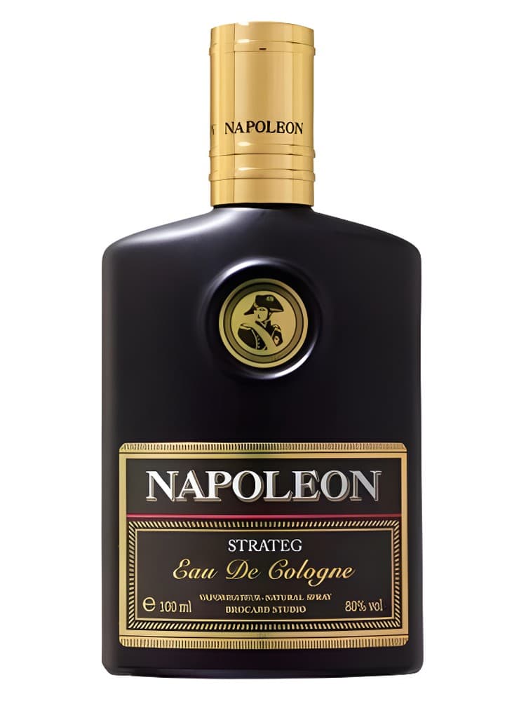 Napoleon Strateg