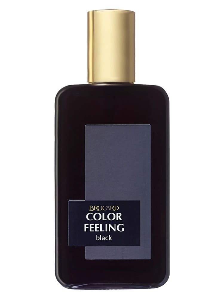Color Feeling Black