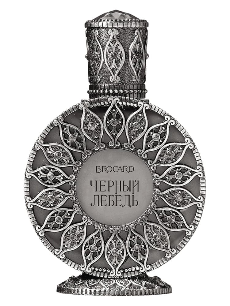 Black Swan Cernyj lebed