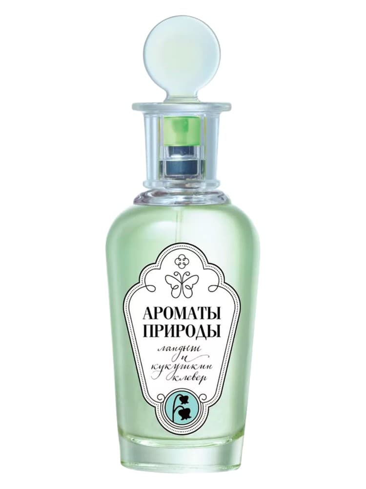 Landys i Kukuskin klever Lily of the valley and Wood sorrel