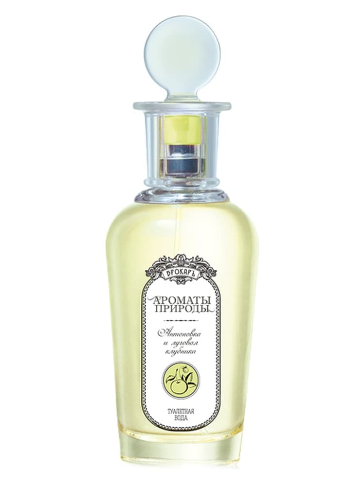 Antonovka i lugovaa klubnika Antonovka and Wild Strawberry