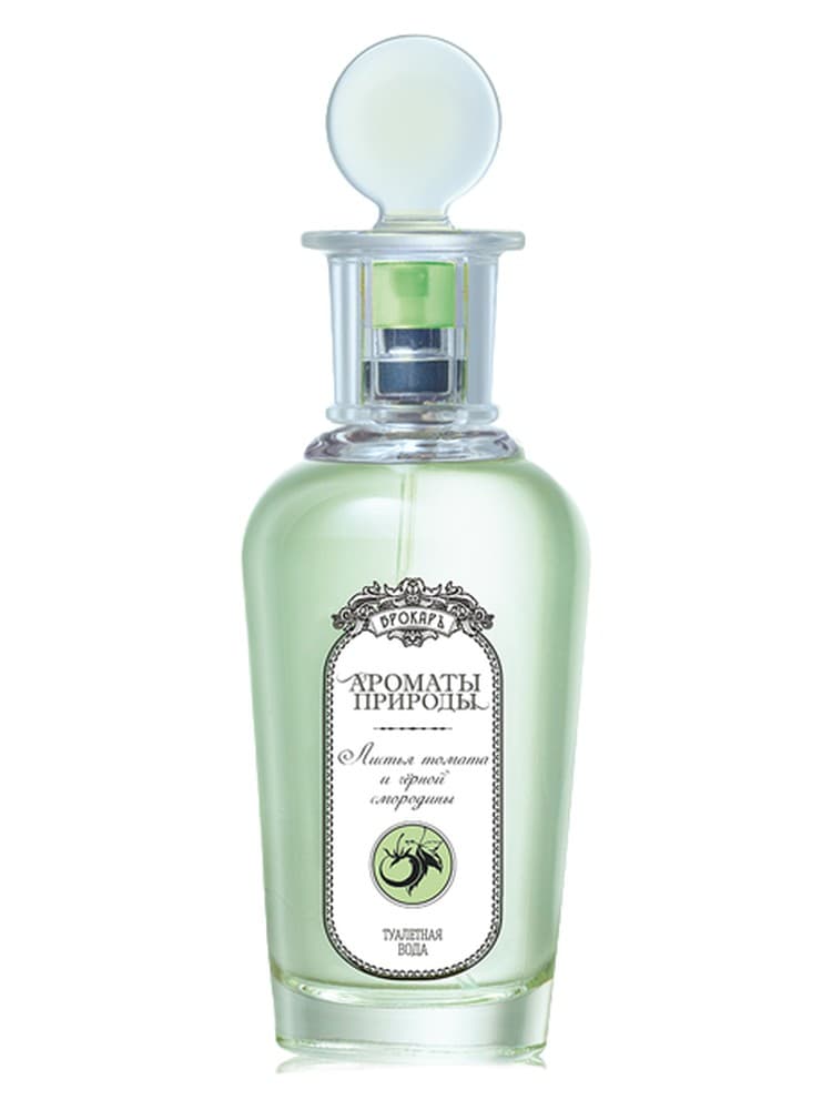 List a tomata i cernoj smorodiny Tomato and Black Currant Leaves