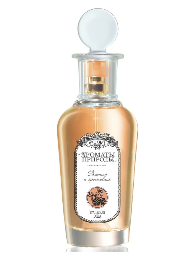 Oblepiha i kryzovnik Sea buckthorn and Gooseberry