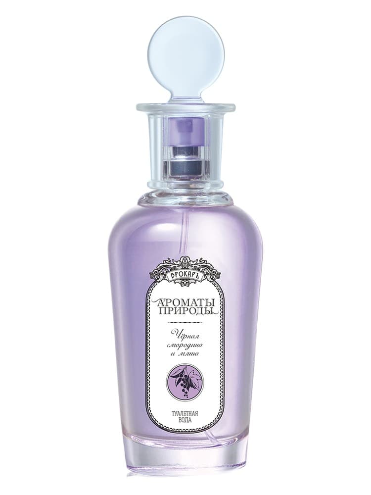 Cernaa smorodina i mata Black currant and Mint