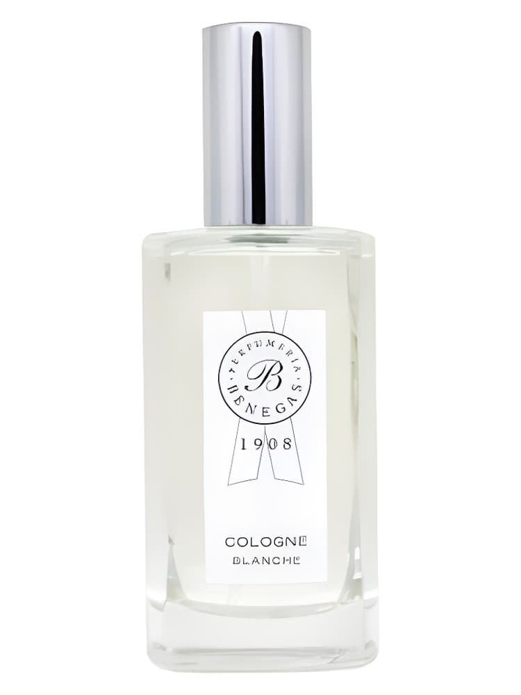 Cologne Blanche