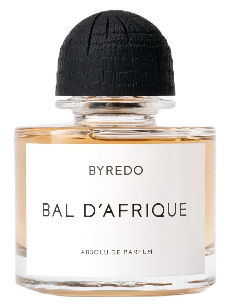 Bal d Afrique Absolu