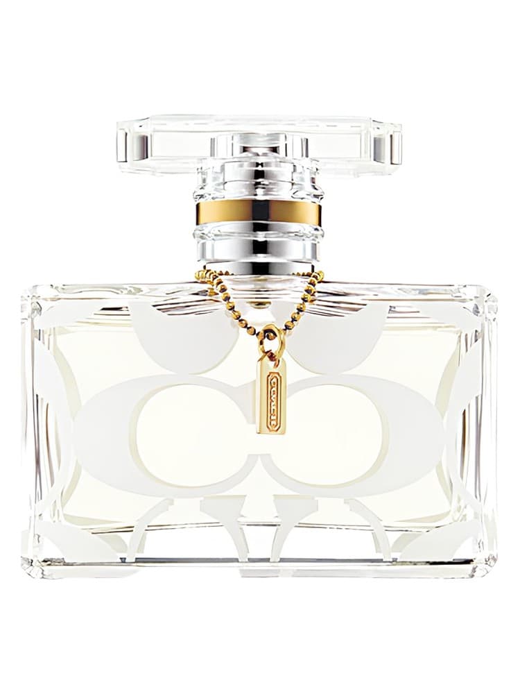 Signature Summer Legacy