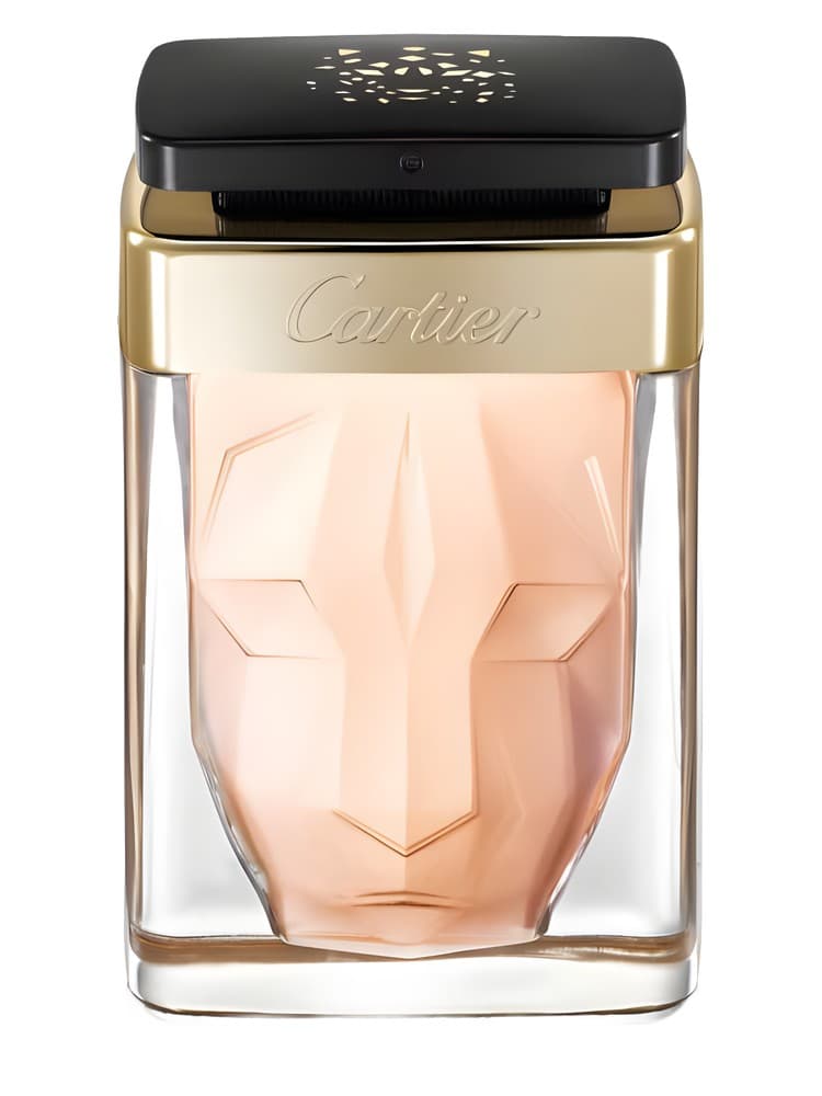 La Panthere Edition Soir