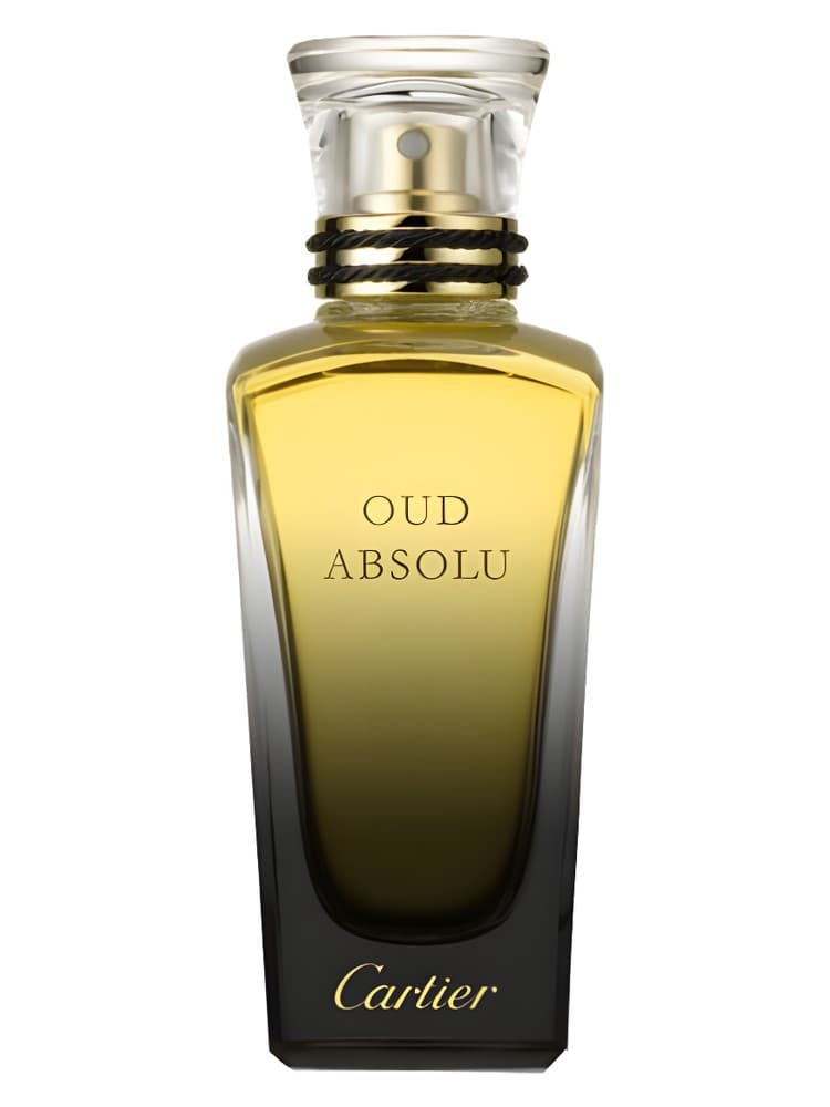 Oud Absolu