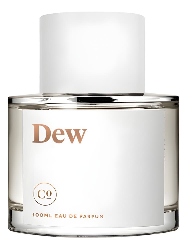 Dew