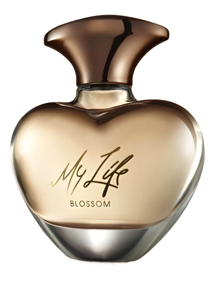 Mary J Blige My Life Blossom