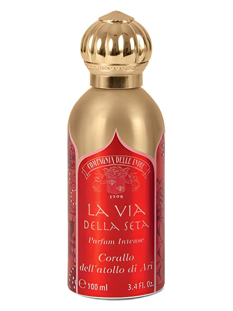 Corallo dell atollo di Ari