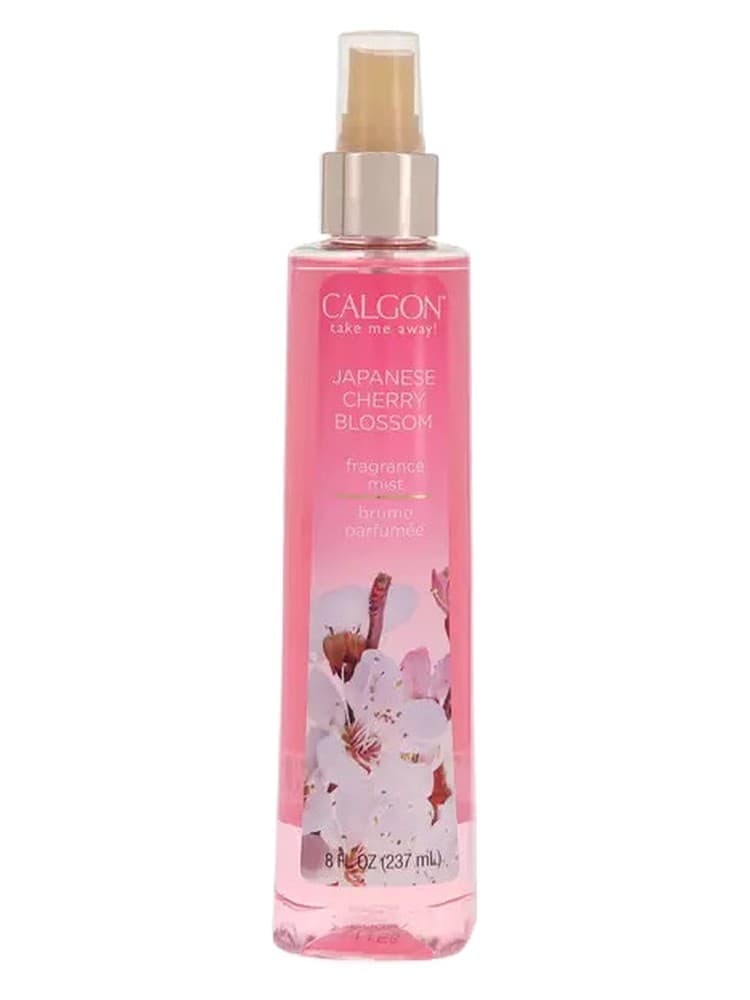 Japanese Cherry Blossom