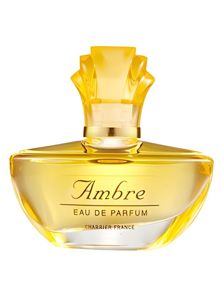 Ambre