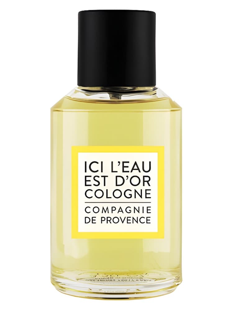 Ici L Eau est d Or