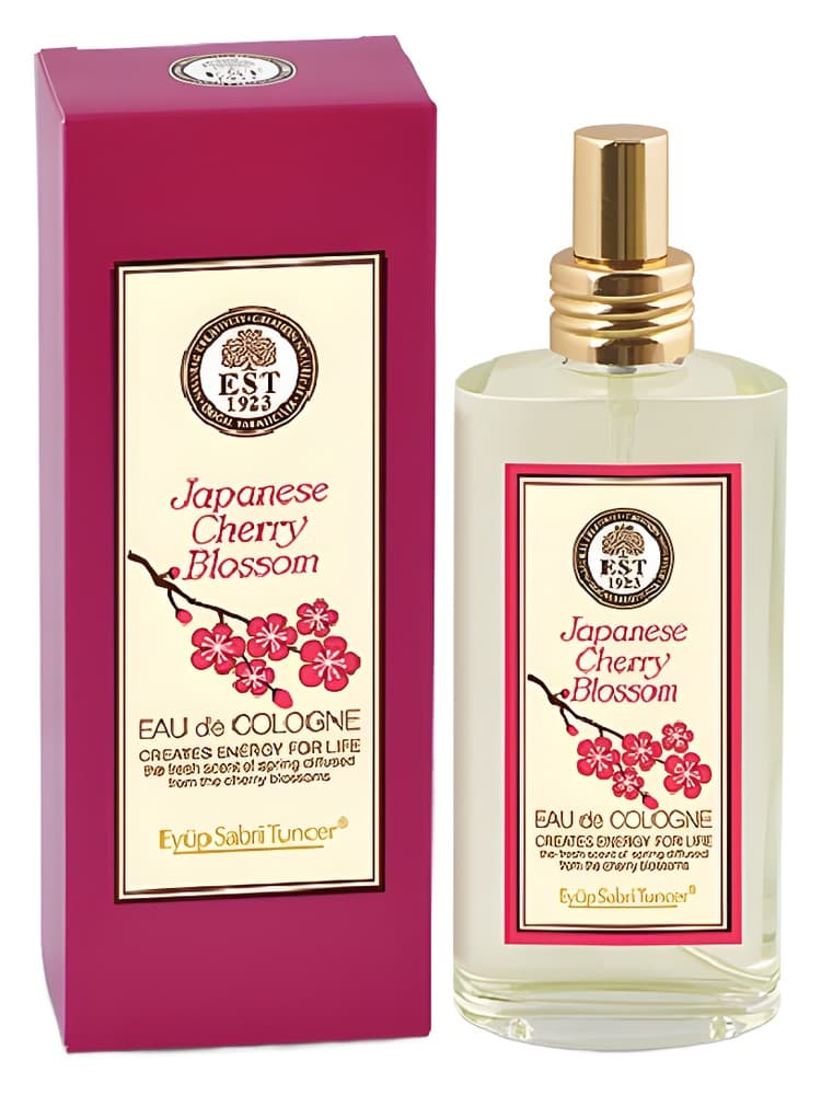 Japanese Cherry Blossom