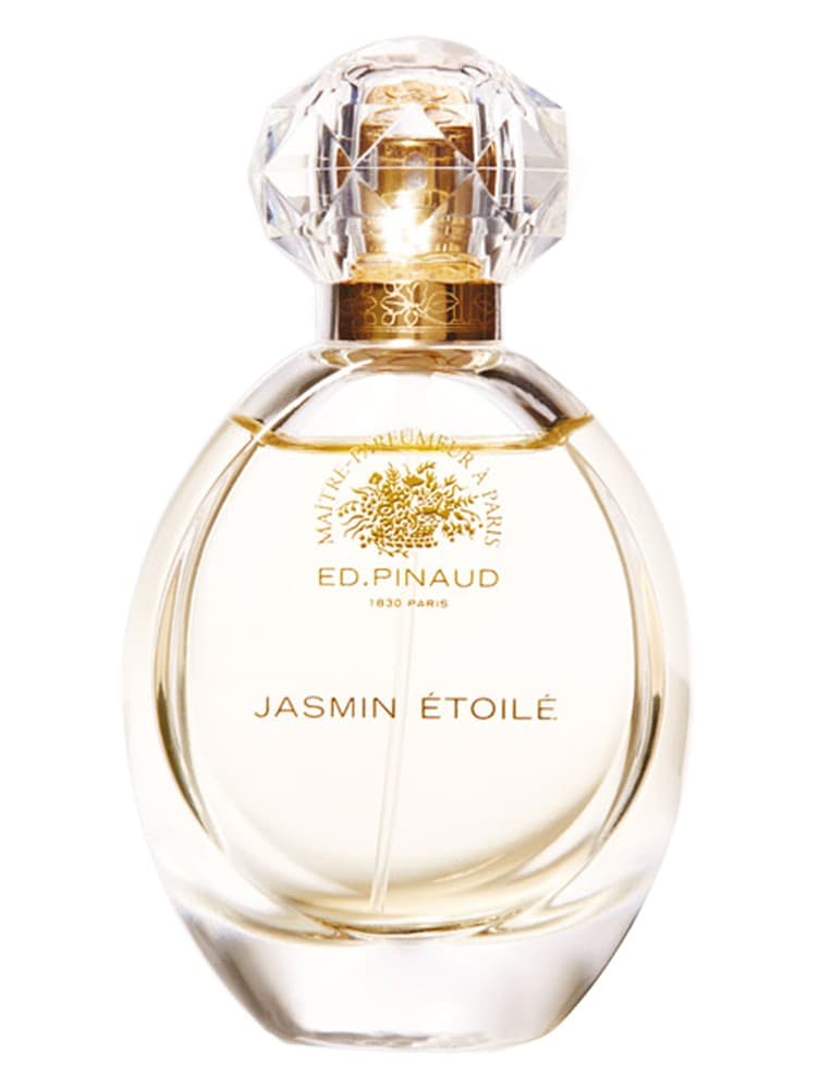 Jasmin Etoile
