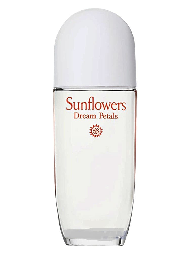 Sunflowers Dream Petals