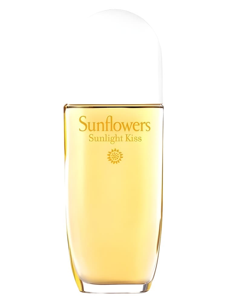 Sunflowers Sunlight Kiss