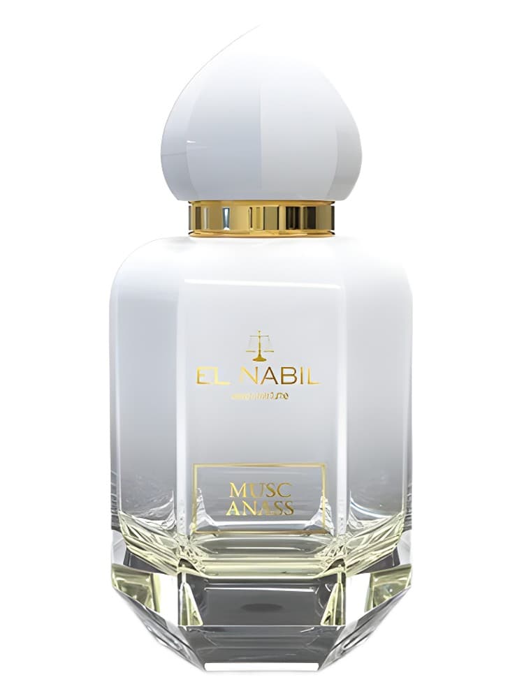 Musk Anass