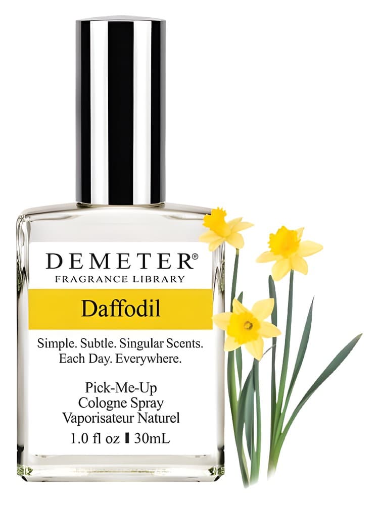 Daffodil