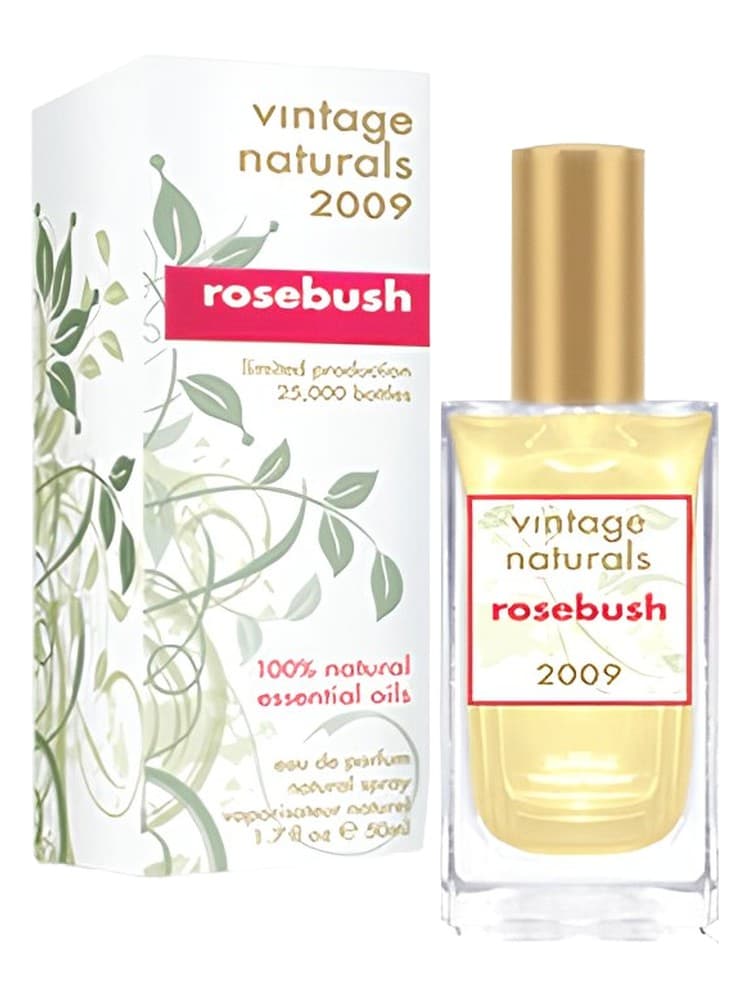 Vintage Naturals 2009 Rosebush