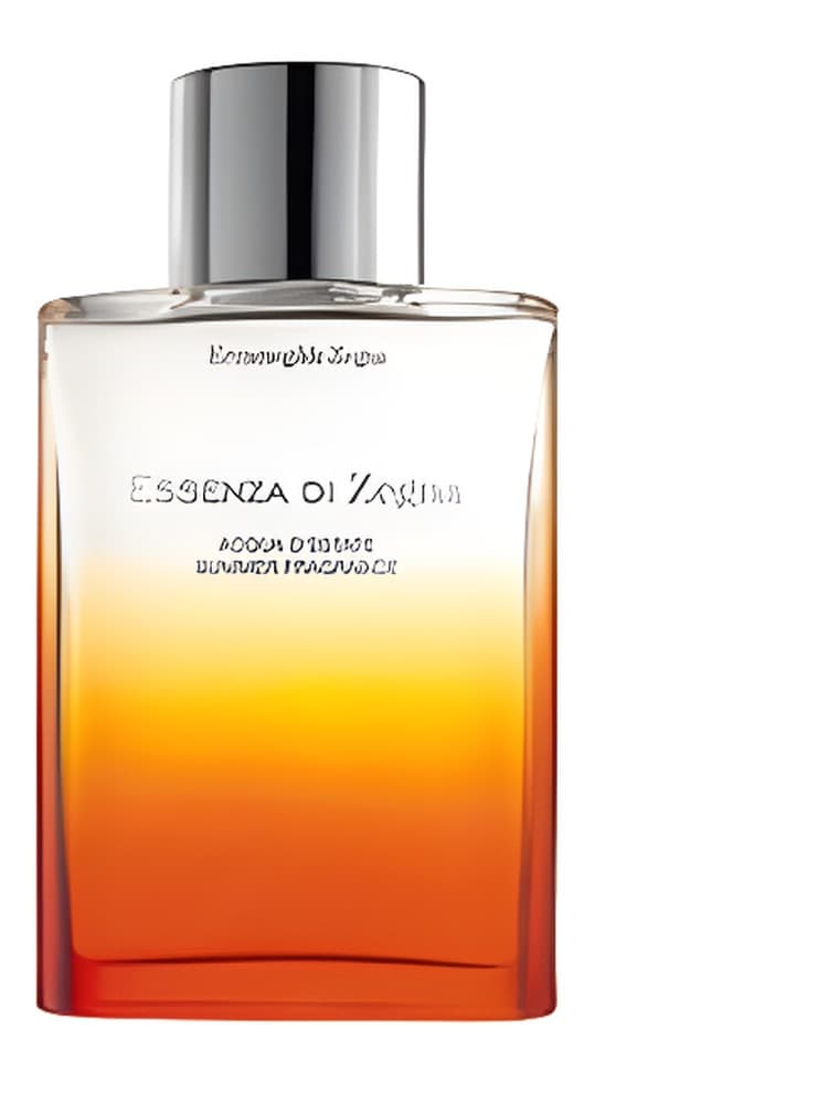 Essenza di Zegna Acqua d Estate