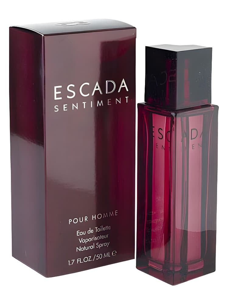 Escada Sentiment pour Homme