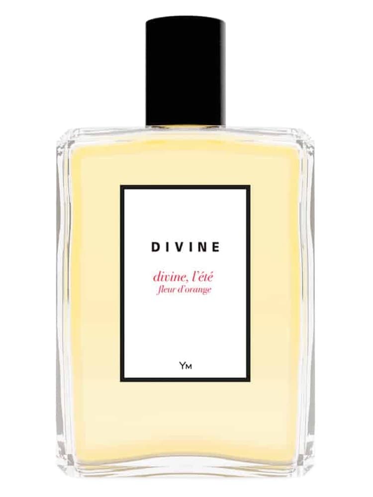 Divine l ete fleur d orange