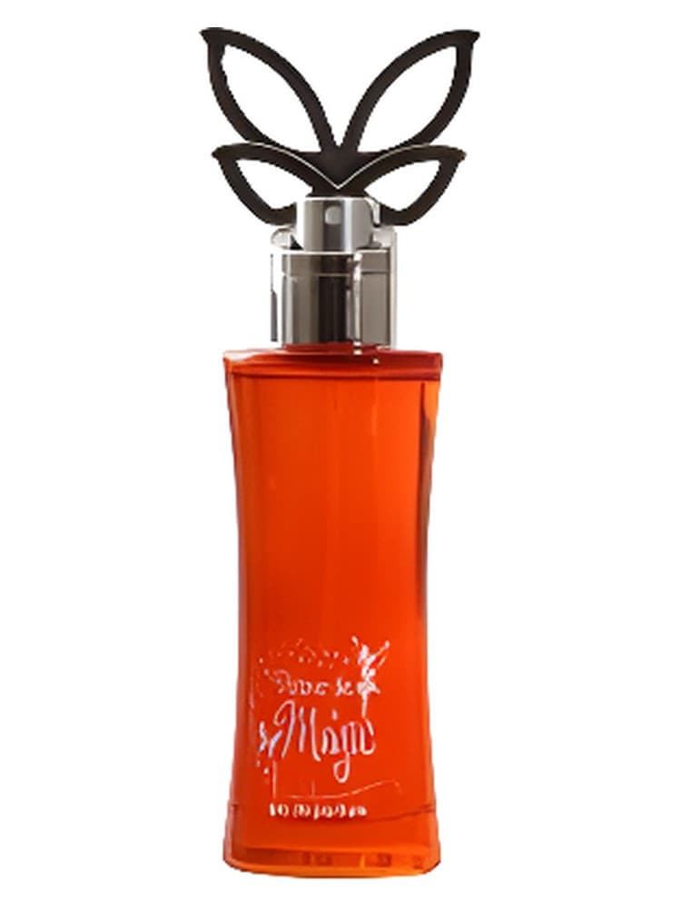 Fairies Discover The Magic