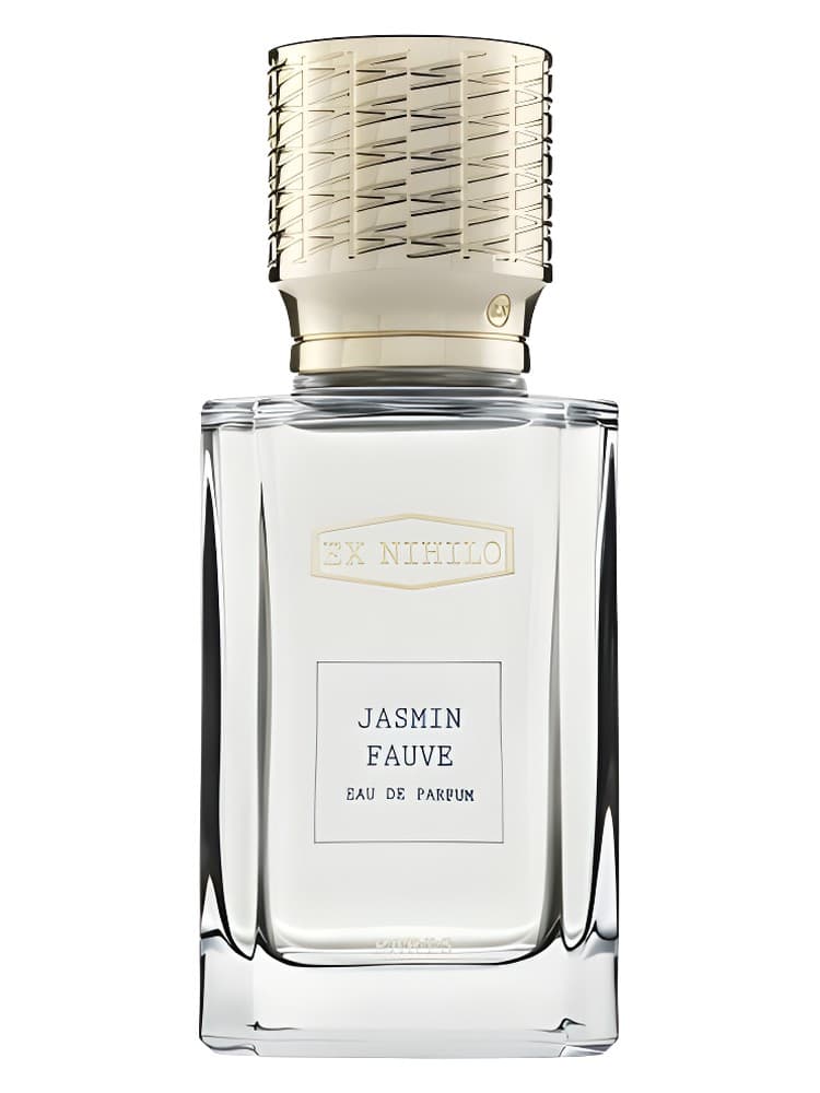 Jasmin Fauve
