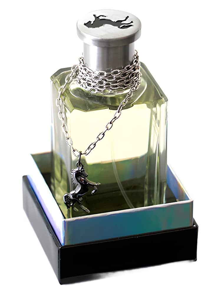 Black Stallion by Sergio Goyri