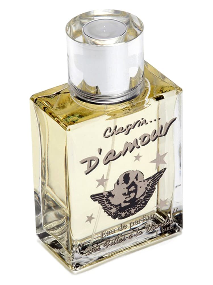 Chagrin d Amour Bye Bye