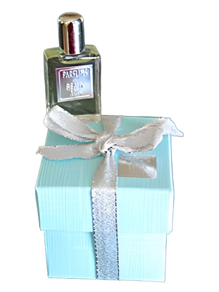 Ma Plus Belle Histoire d Amour