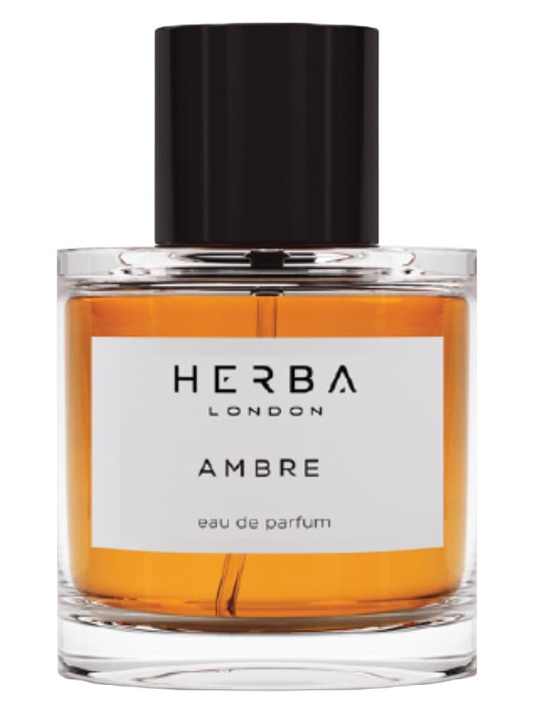 Ambre