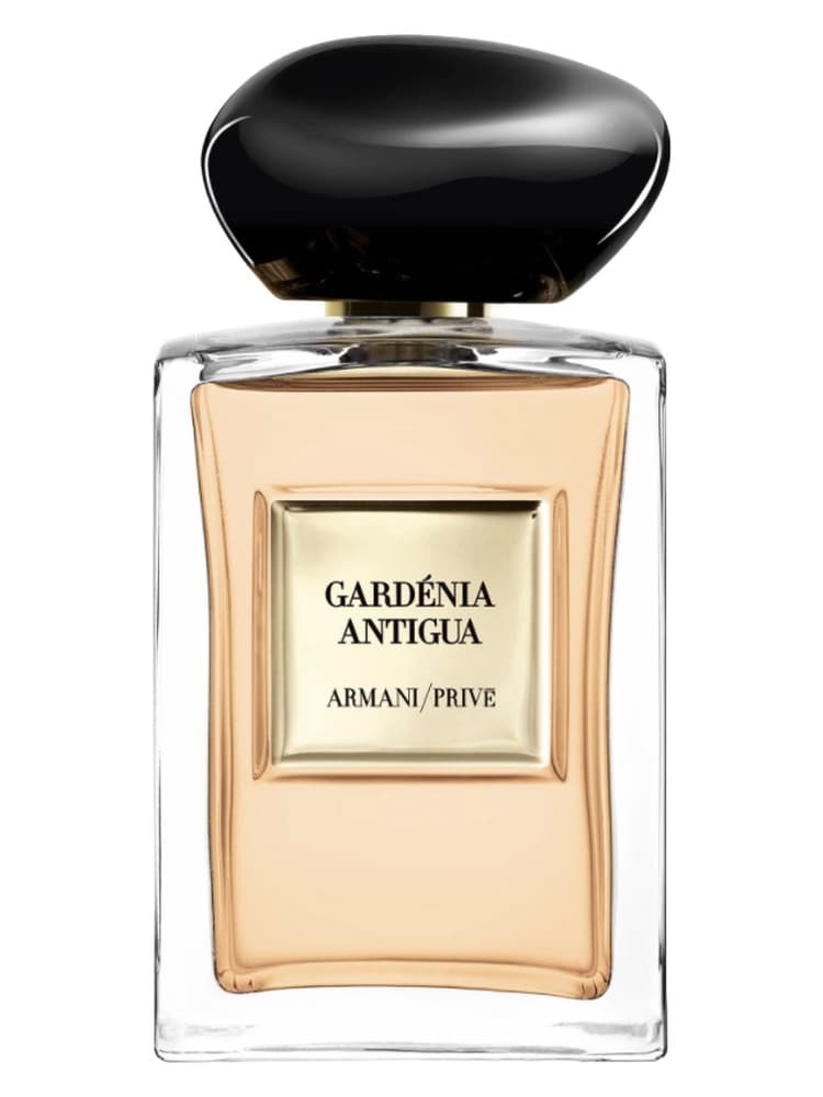 Gardenia Antigua