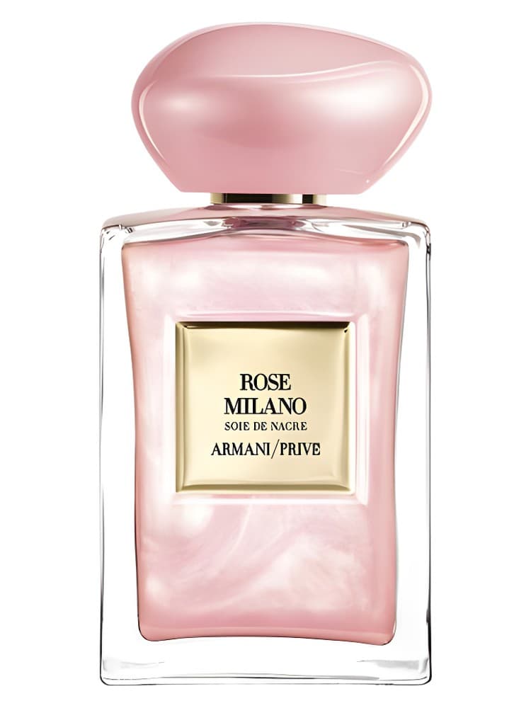 Rose Milano Soie de Nacre