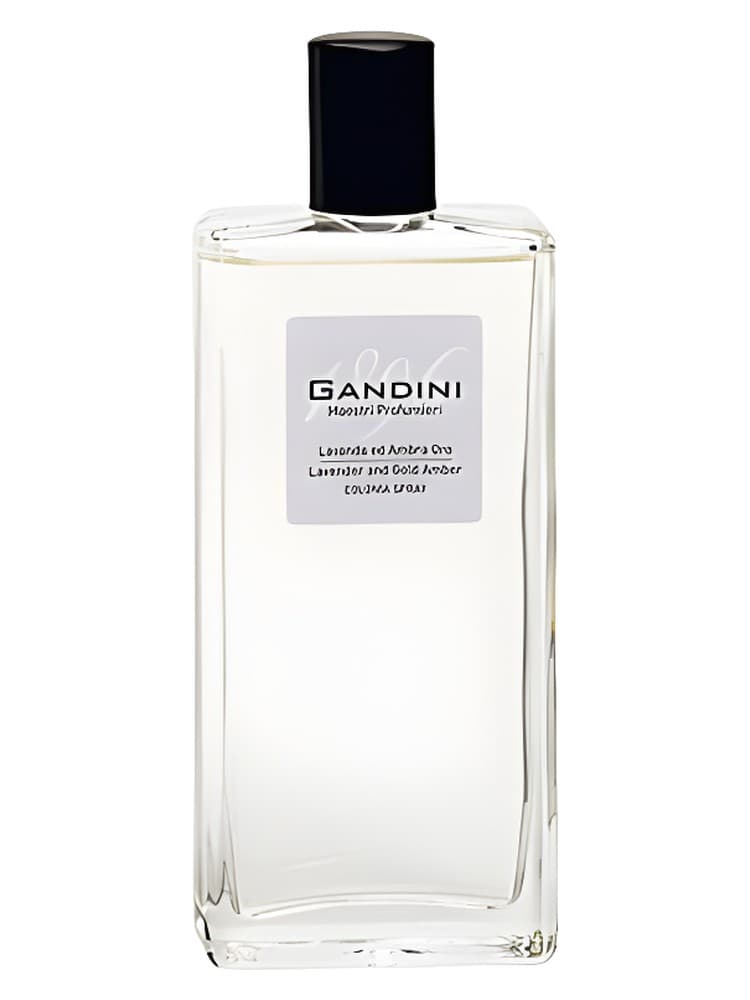 Lavender and Gold Amber