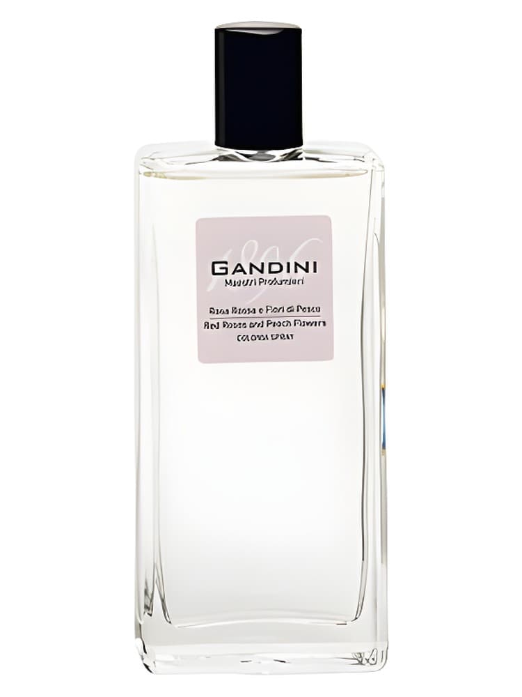 Red Rose and Peach Blossom